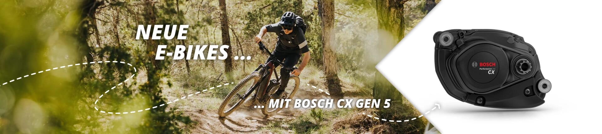 Bosch E-Bike Banner