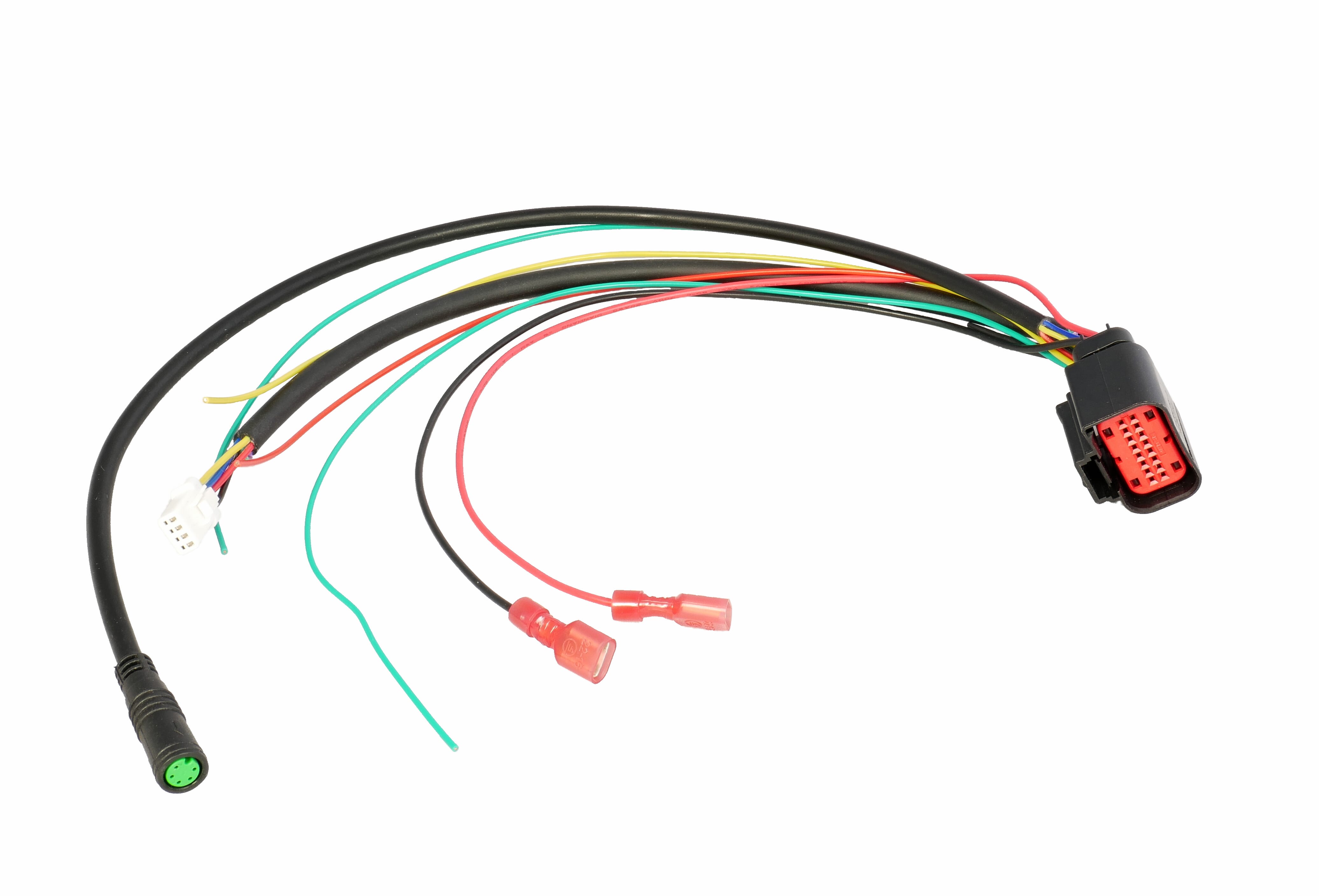 ECU wiring harness