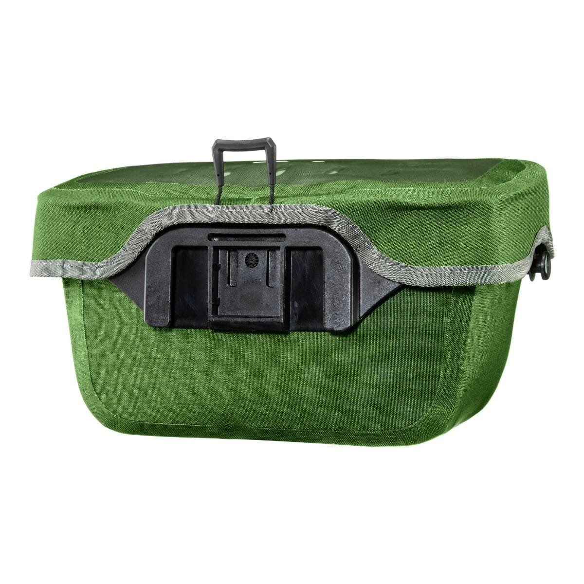 Ultimate Six Plus Kiwi back