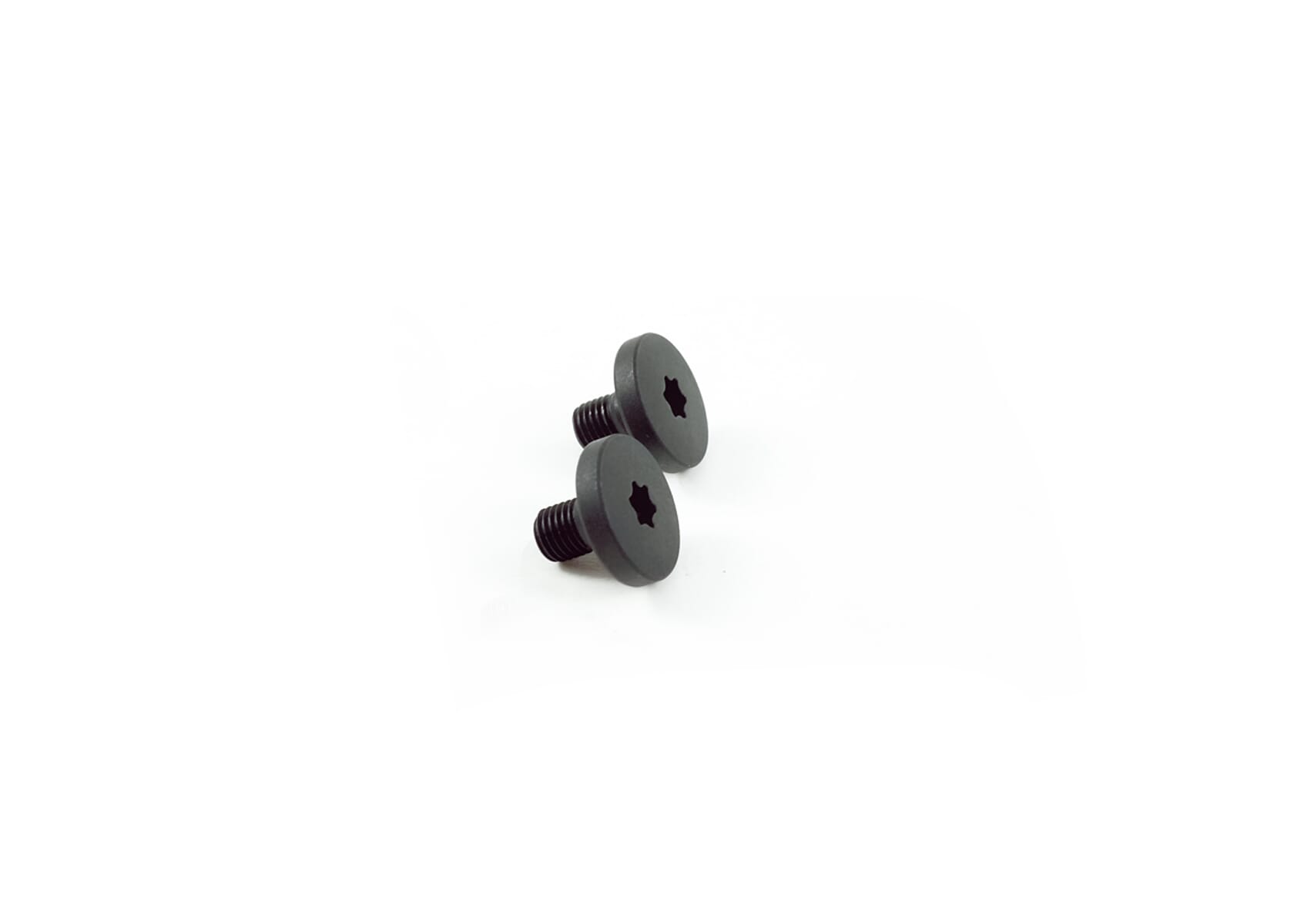 LUPINE TX15 retaining screw SL S/B (2 pieces)