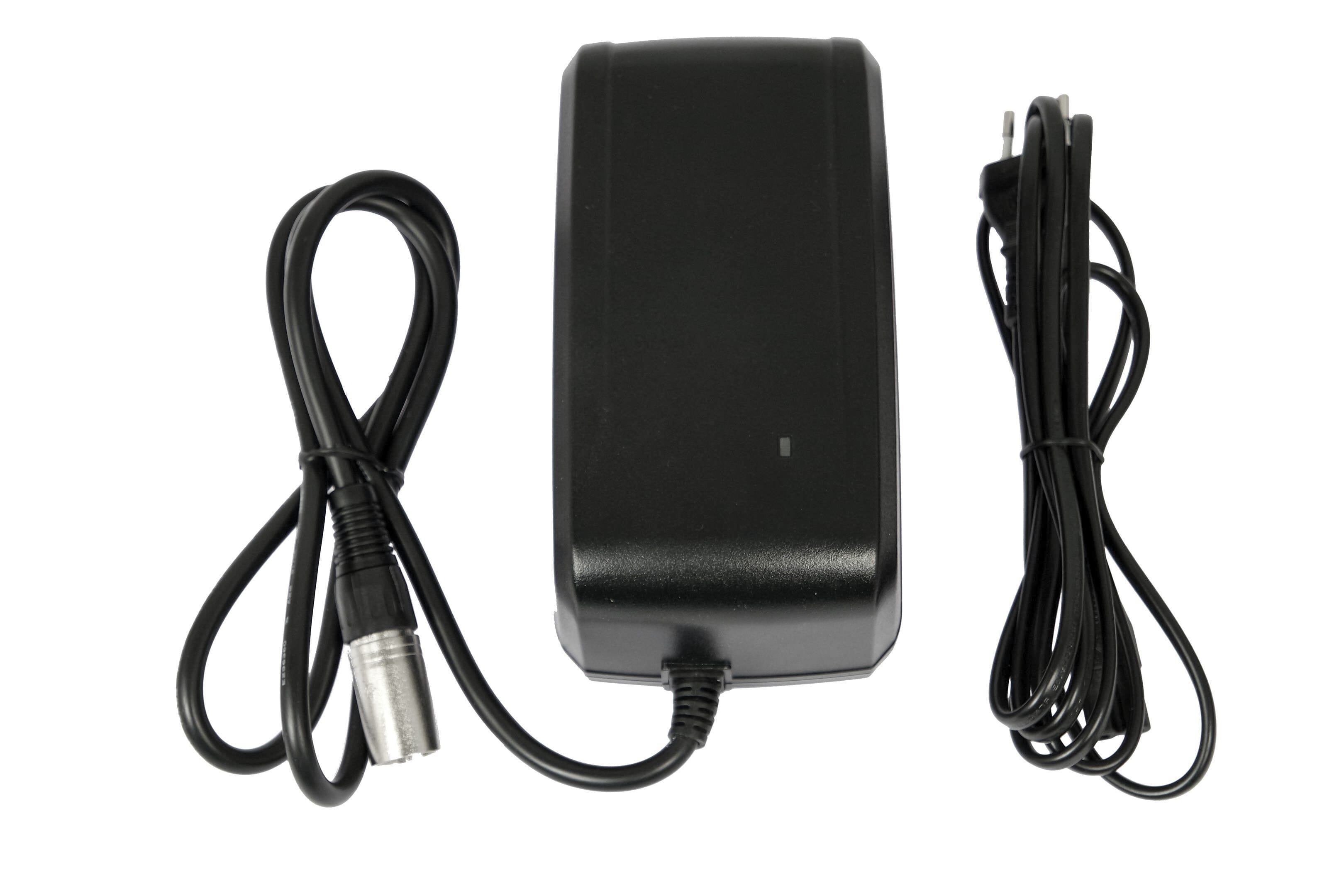 Giant Ladegerät Fast Charger