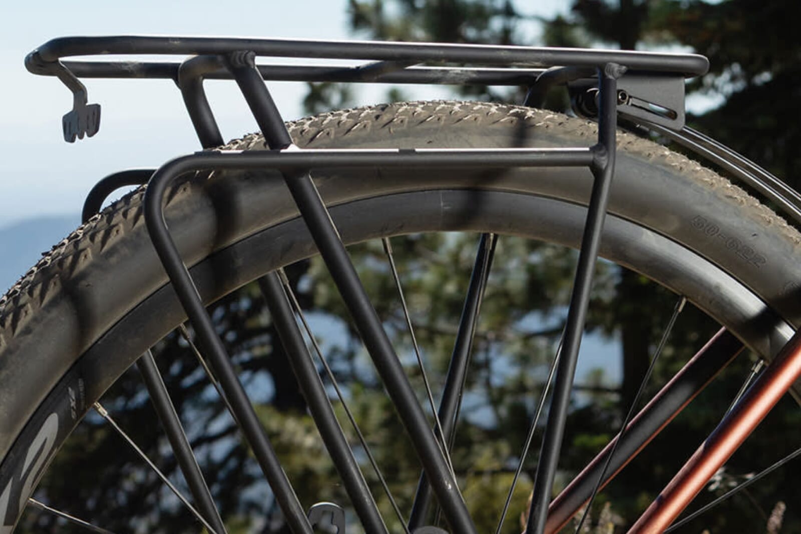 Giant E-Bike Gepäckträger