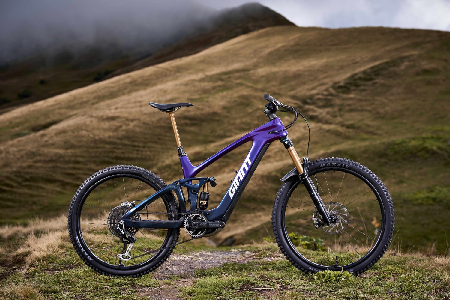 Giant Reign Advanced E+0 2026 | eBike24