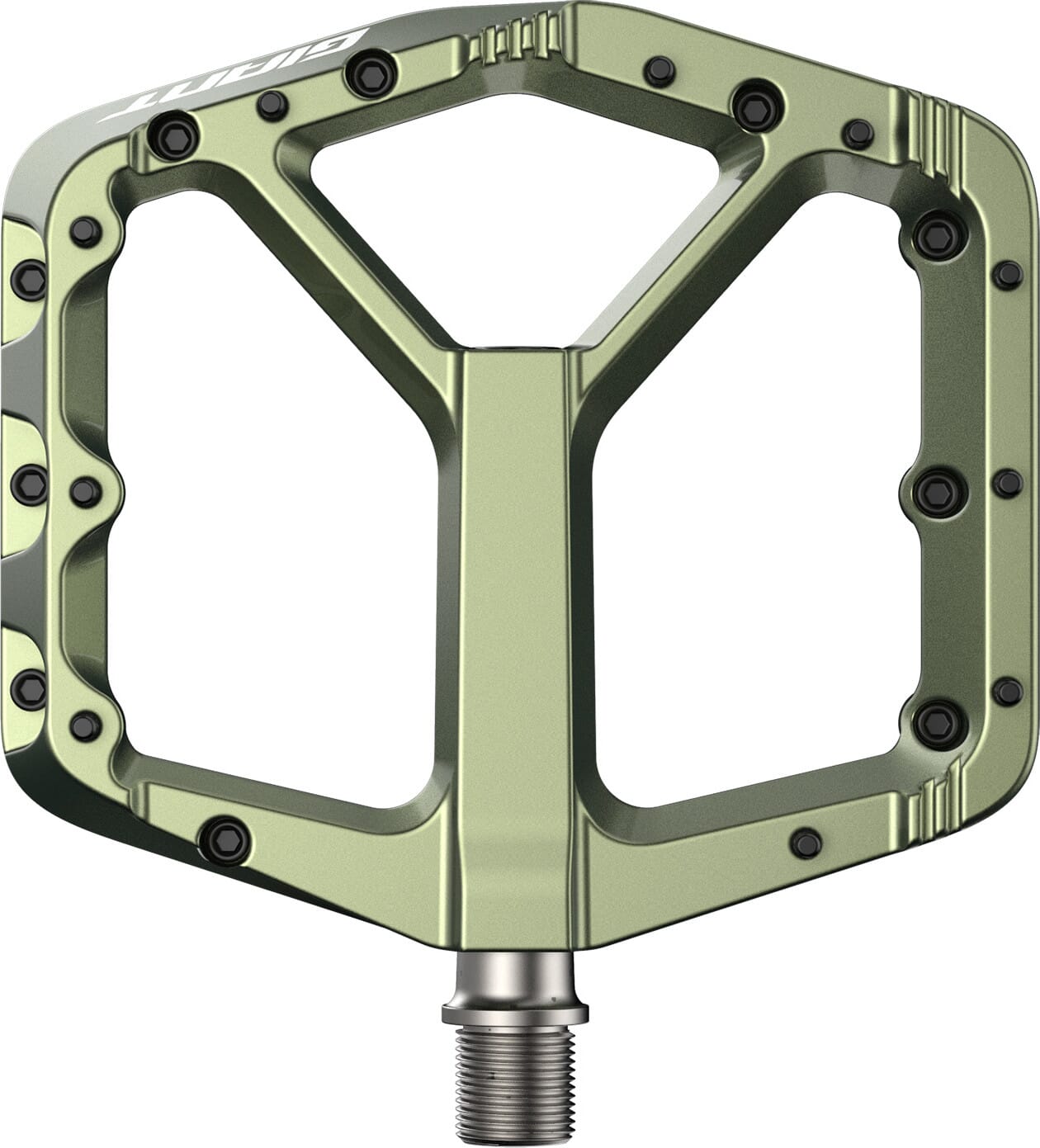 Giant Pinner Pro MTB Platform Pedal - green
