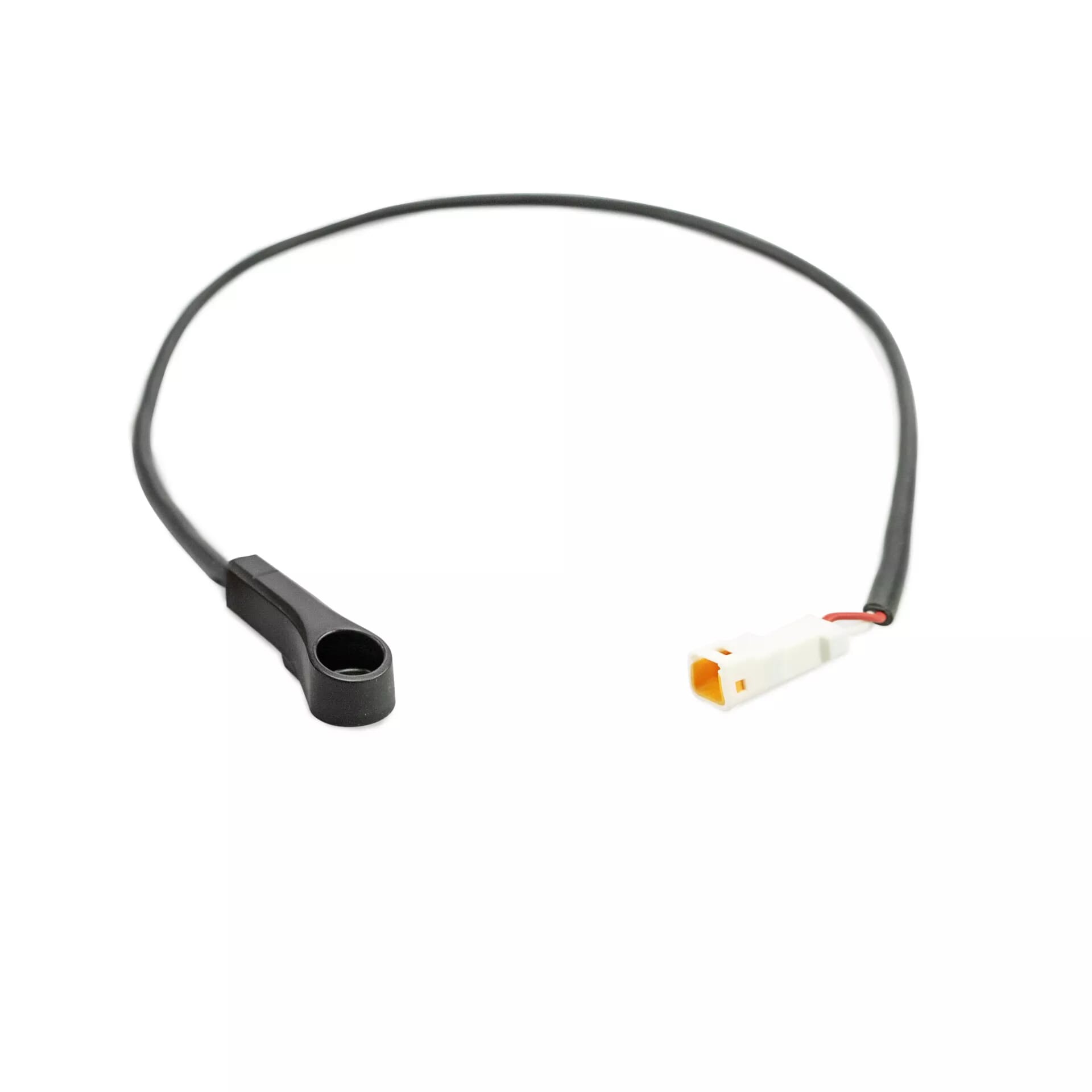 Speed sensor Ciclosport Pana