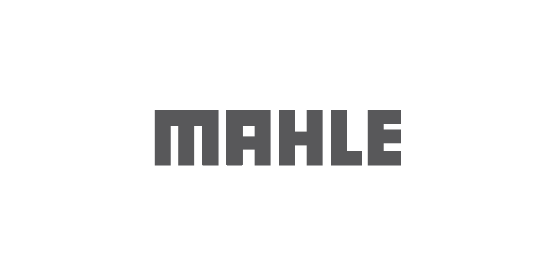 Ricambi Mahle