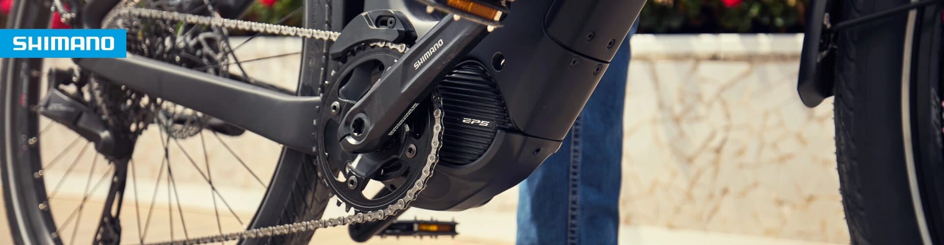 Shimano Motoren Banner