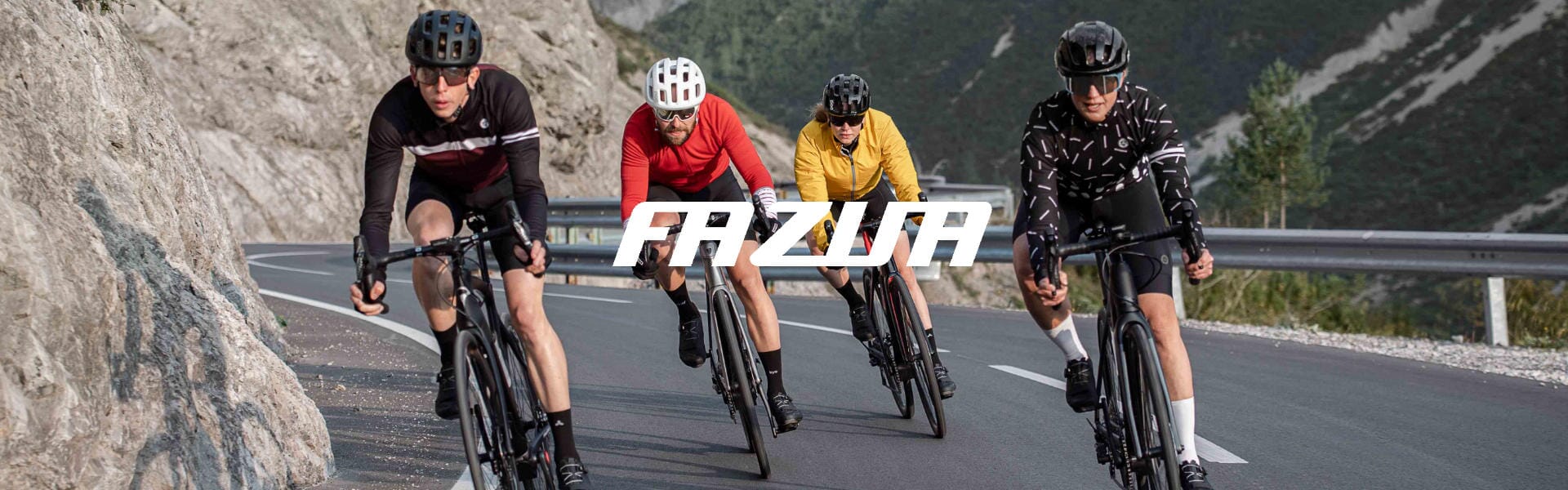 Fazua Banner