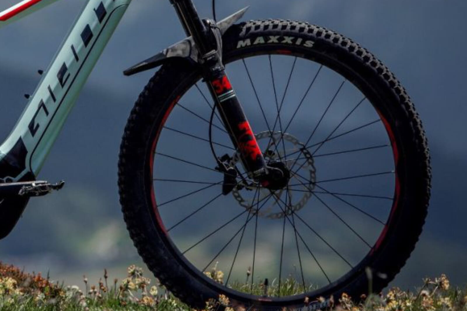 Giant Schutzbleche Banner