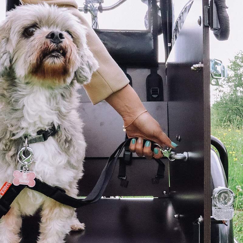 Babboe double leash close-up attachment