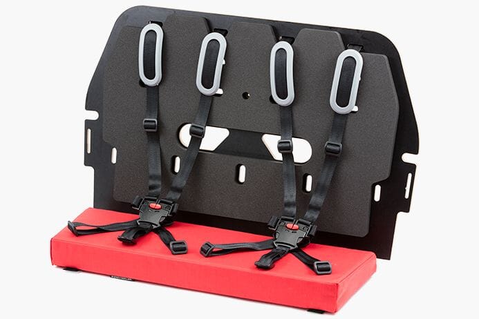 Riese & Müller Packster 60/80 double child seat