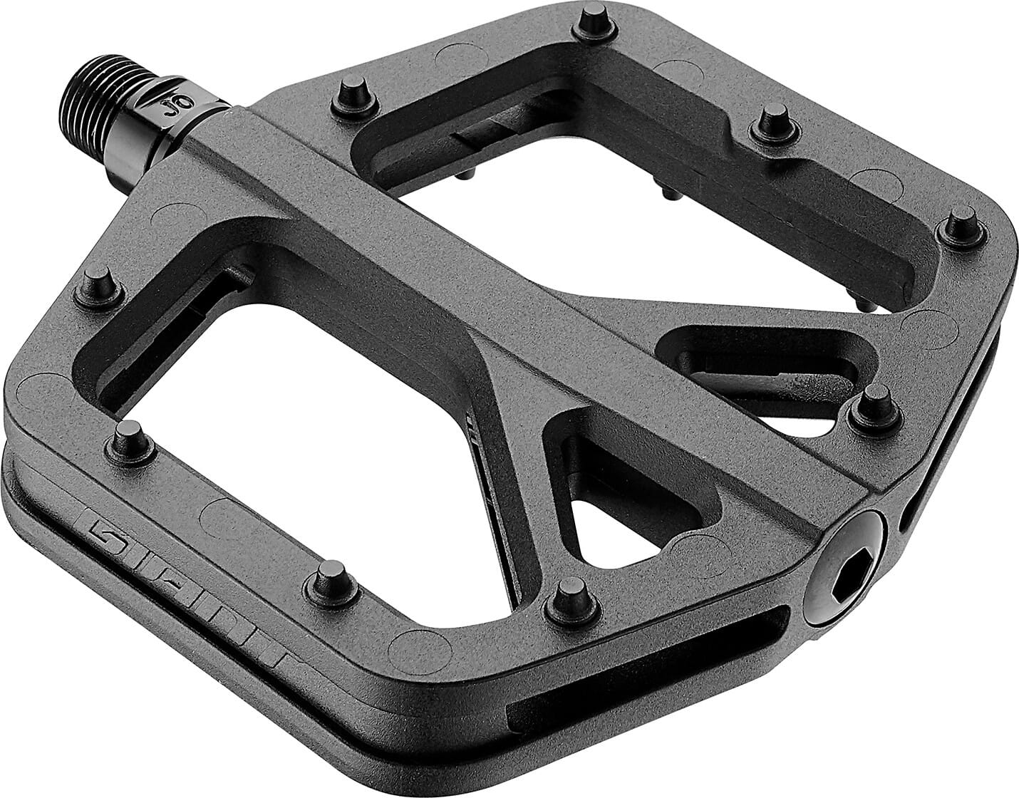 Giant Pinner Comp MTB Plattform Pedal - schwarz