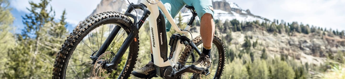 Panasonic E-Bike Banner