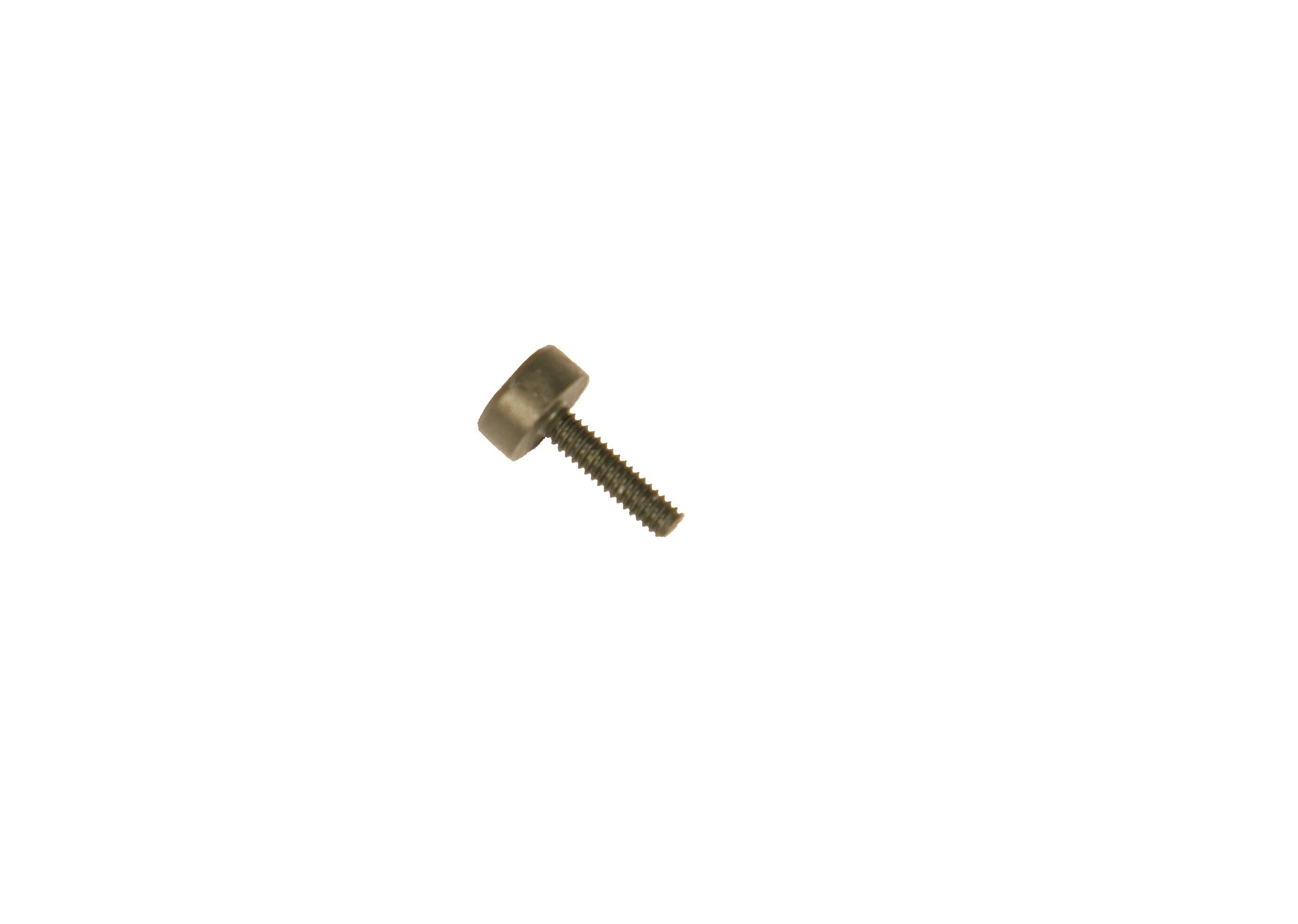Bosch Intuvia 100 blocking screw